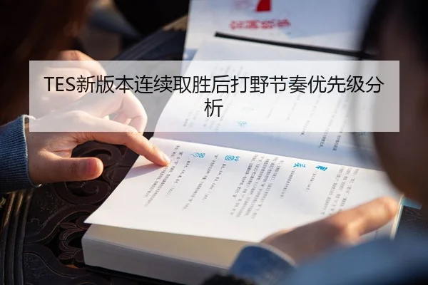 TES新版本连续取胜后打野节奏优先级分析