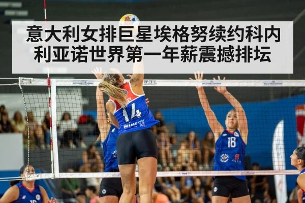 volleyball match
