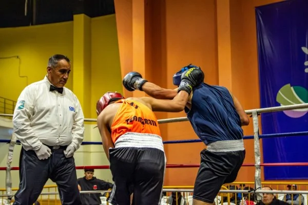 boxing referee